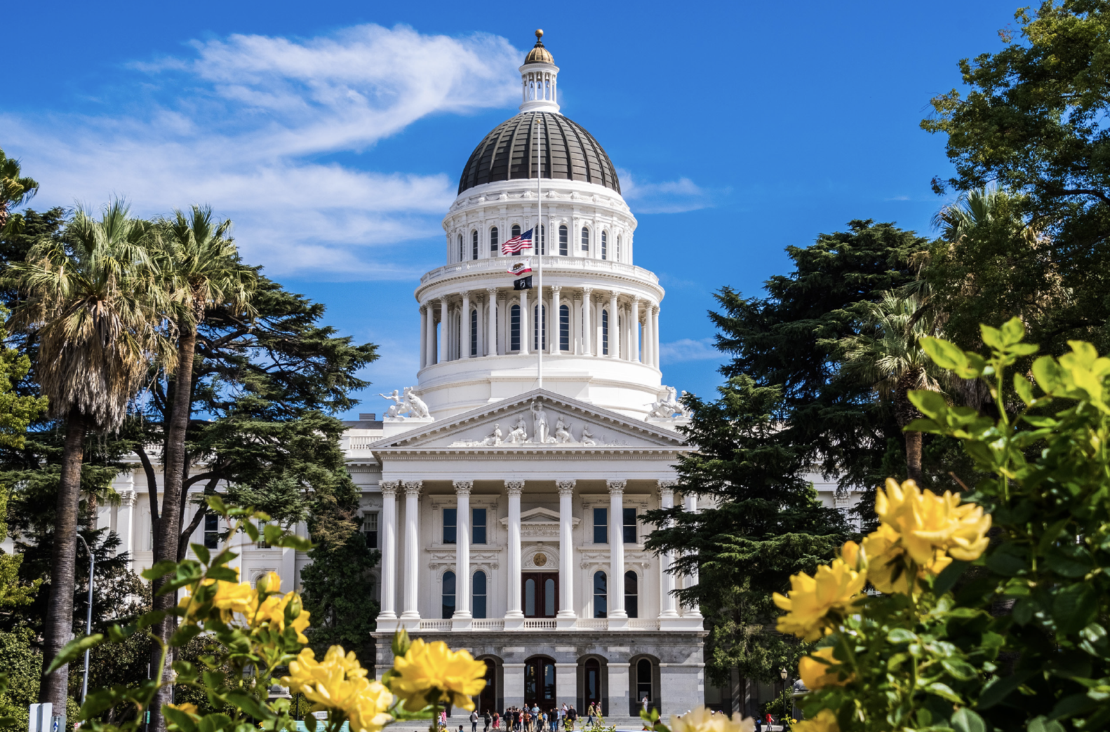 California Insights Review Series: Top Policy Priorities