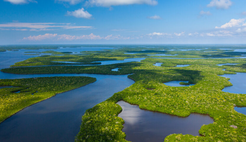 Florida Deep Dive: Environment and Climate