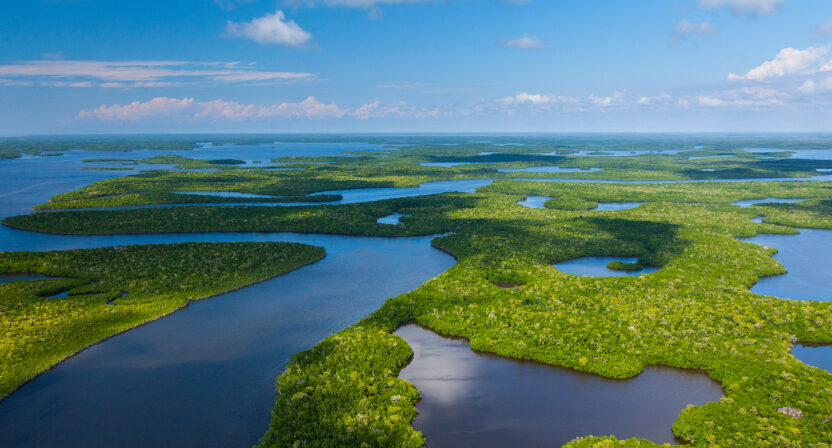 Florida Deep Dive: Environment and Climate