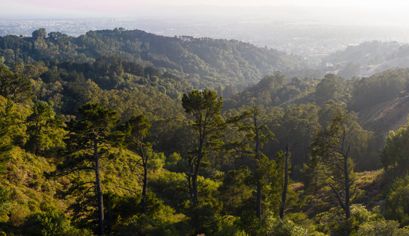 California Deep Dive: Environment and Climate