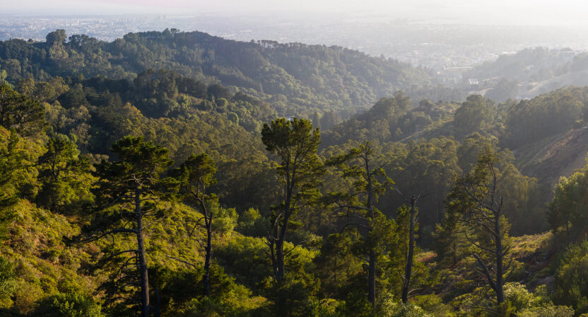 California Deep Dive: Environment and Climate